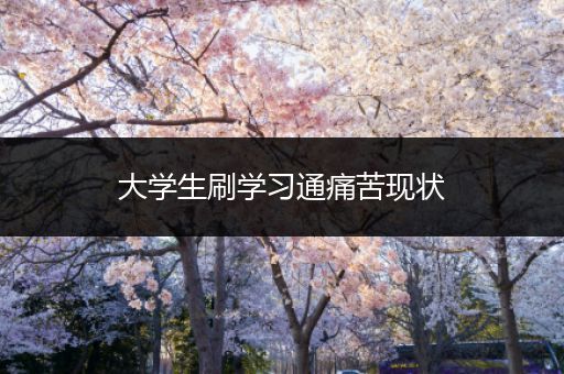 大学生刷学习通痛苦现状
