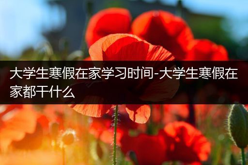 大学生寒假在家学习时间-大学生寒假在家都干什么