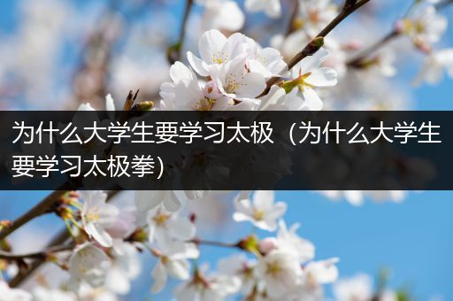为什么大学生要学习太极（为什么大学生要学习太极拳）