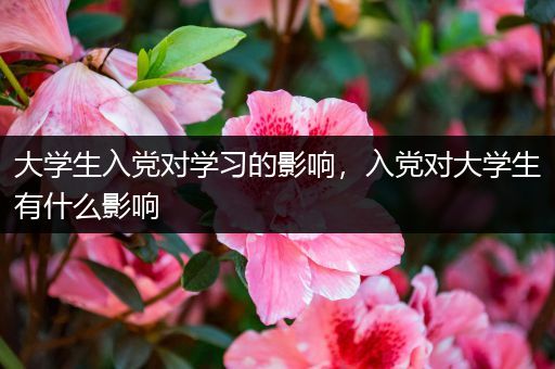 大学生入党对学习的影响，入党对大学生有什么影响