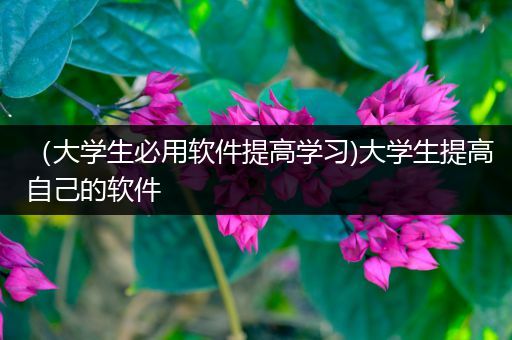 （大学生必用软件提高学习)大学生提高自己的软件
