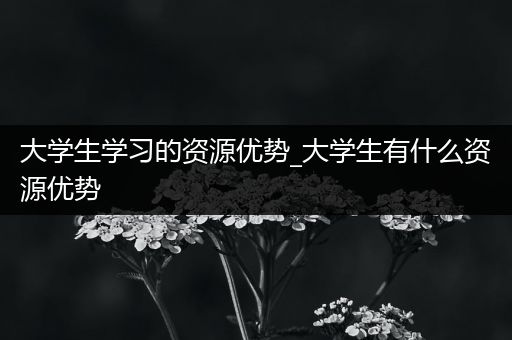 大学生学习的资源优势_大学生有什么资源优势