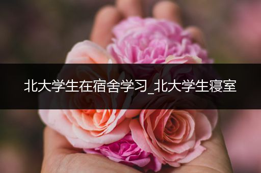 北大学生在宿舍学习_北大学生寝室