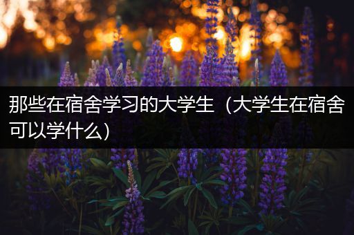 那些在宿舍学习的大学生（大学生在宿舍可以学什么）