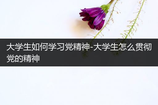 大学生如何学习党精神-大学生怎么贯彻党的精神