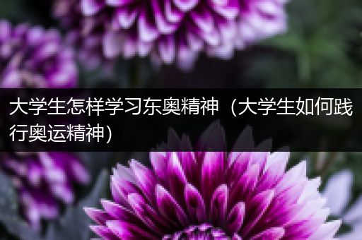 大学生怎样学习东奥精神（大学生如何践行奥运精神）