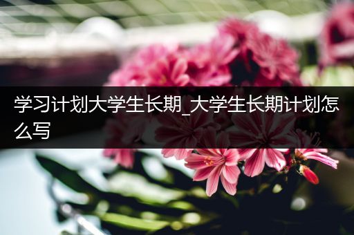 学习计划大学生长期_大学生长期计划怎么写
