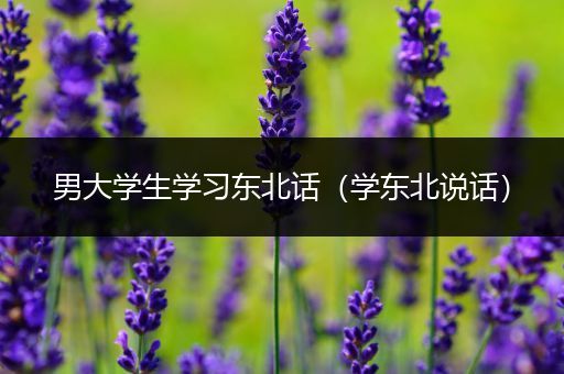 男大学生学习东北话（学东北说话）