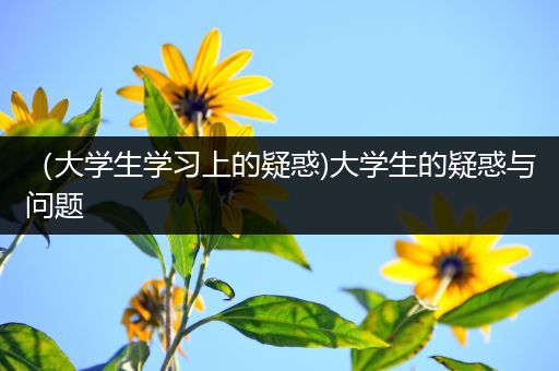 （大学生学习上的疑惑)大学生的疑惑与问题
