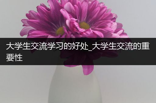 大学生交流学习的好处_大学生交流的重要性