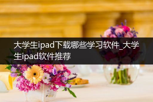 大学生ipad下载哪些学习软件_大学生ipad软件推荐