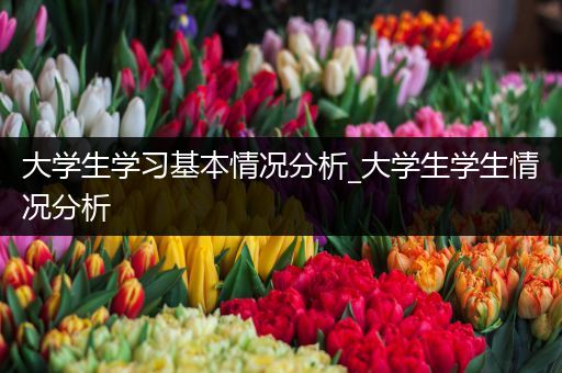 大学生学习基本情况分析_大学生学生情况分析