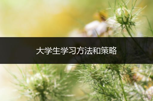大学生学习方法和策略