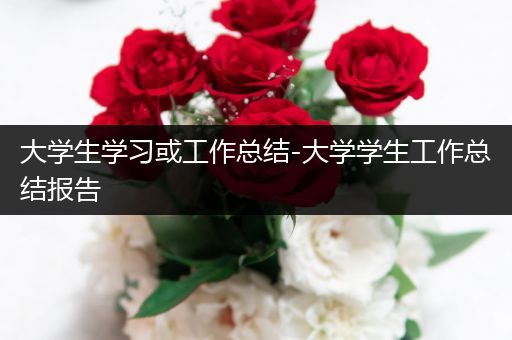 大学生学习或工作总结-大学学生工作总结报告