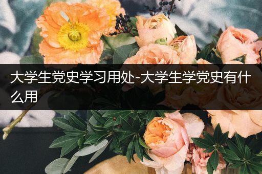 大学生党史学习用处-大学生学党史有什么用