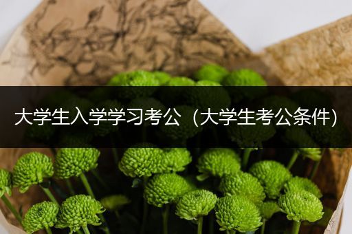大学生入学学习考公（大学生考公条件）