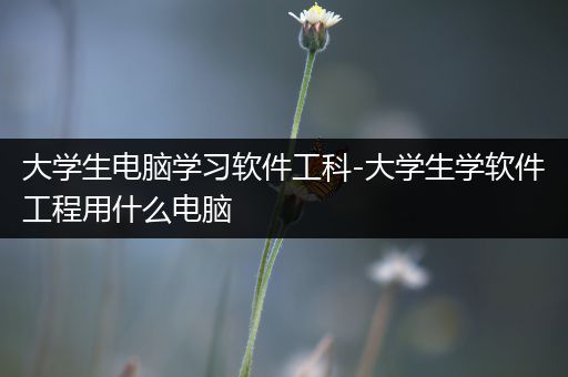 大学生电脑学习软件工科-大学生学软件工程用什么电脑