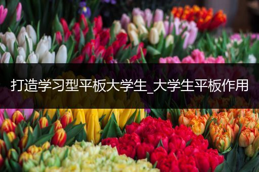 打造学习型平板大学生_大学生平板作用