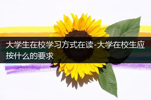 大学生在校学习方式在读-大学在校生应按什么的要求